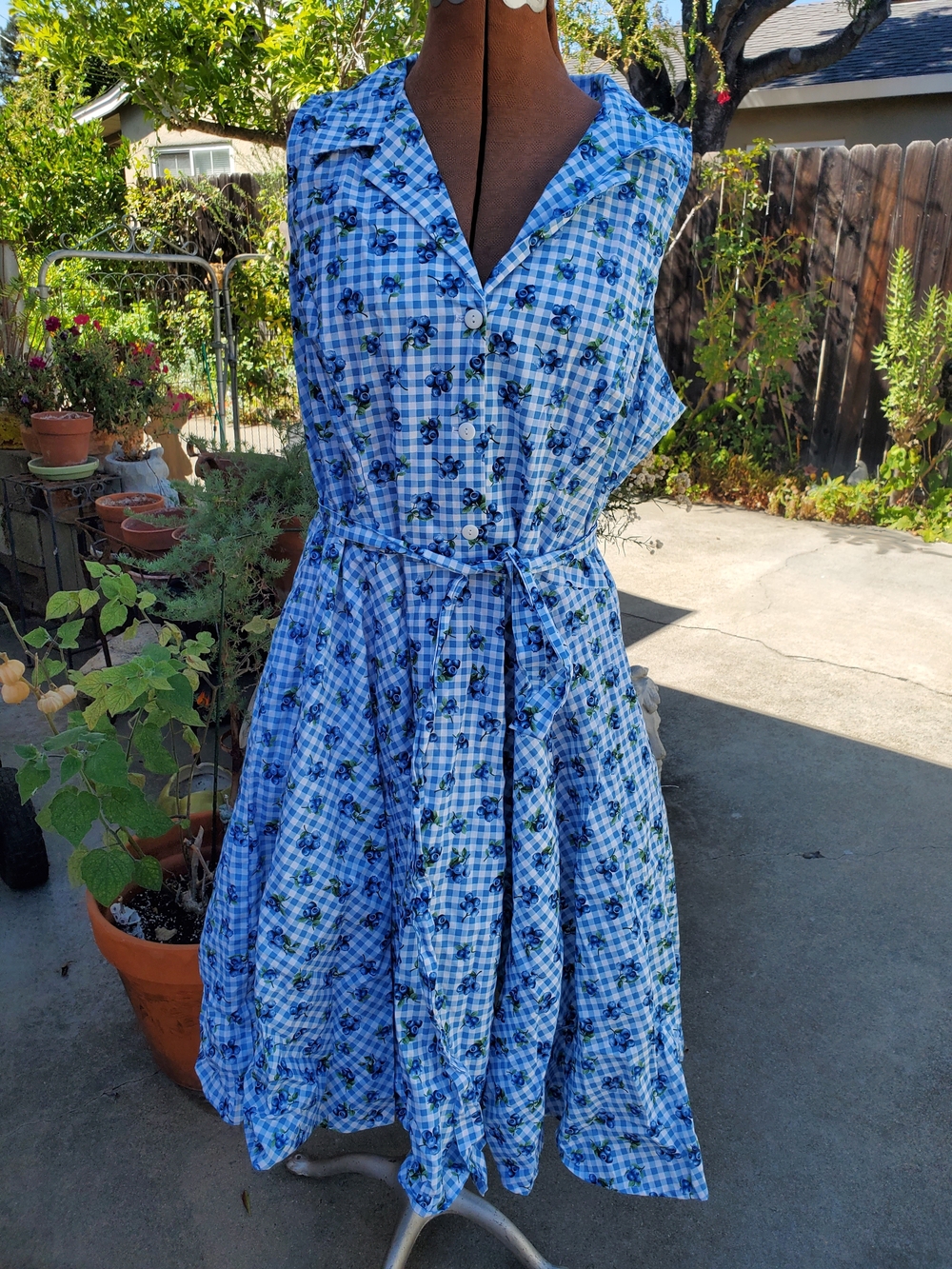 Heart Of Haute Sleeveless Blue Gingham Floral Button-Front Dress with Tie Waist